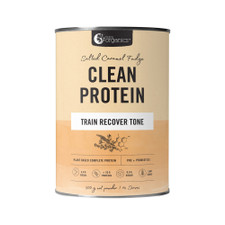 NUTRA ORGANICS -  Clean Protein Salted Caramel Fudge 500g