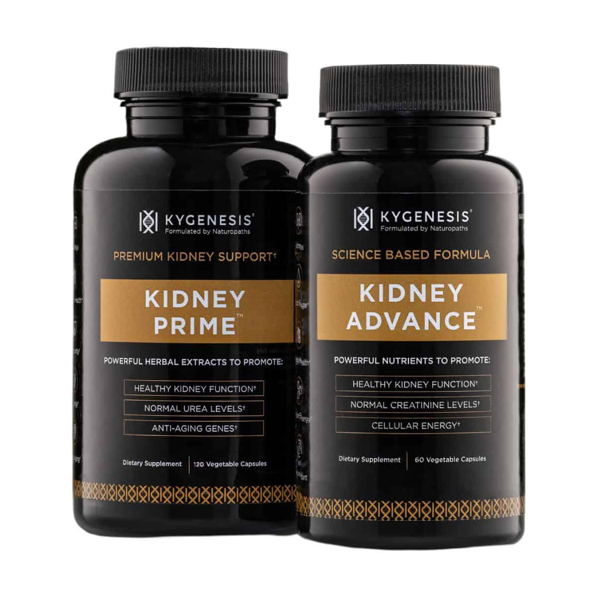 KYGENESIS - KIDNEY ADVANCE