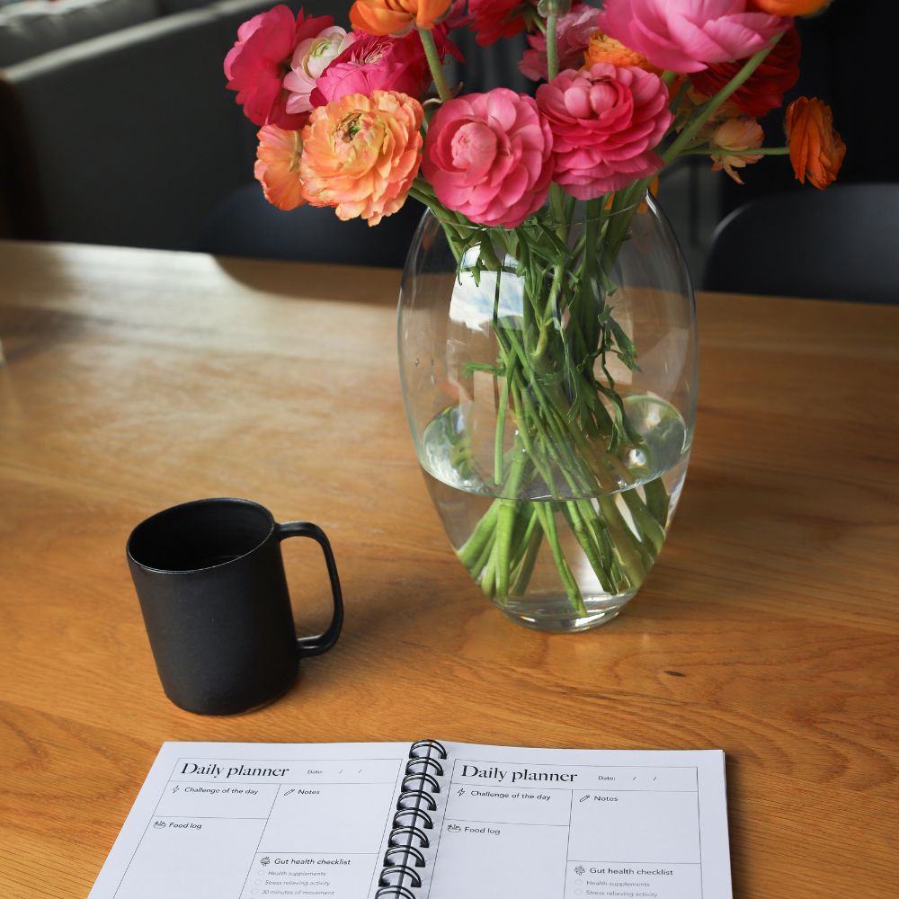 Gutsi - Gut Reset Journal