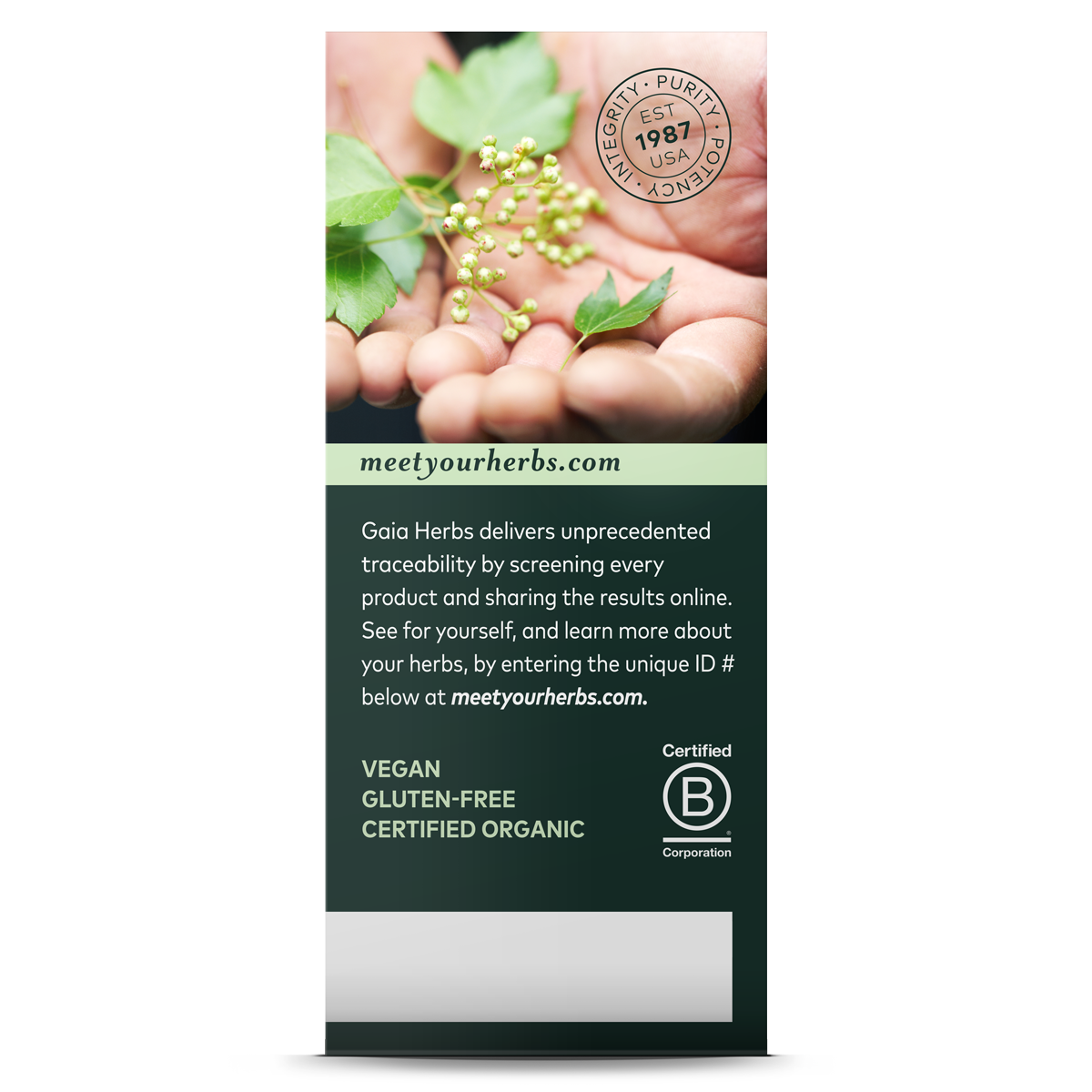 Gaia Herbs - Black Elderberry Syrup Extra Strength 89ml