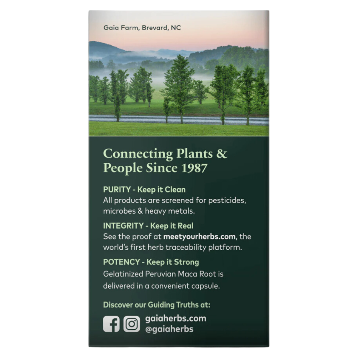 Gaia Herbs - Maca Root 60vc