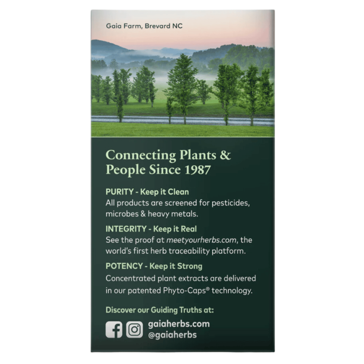 Gaia Herbs - Saw Palmetto 60vc