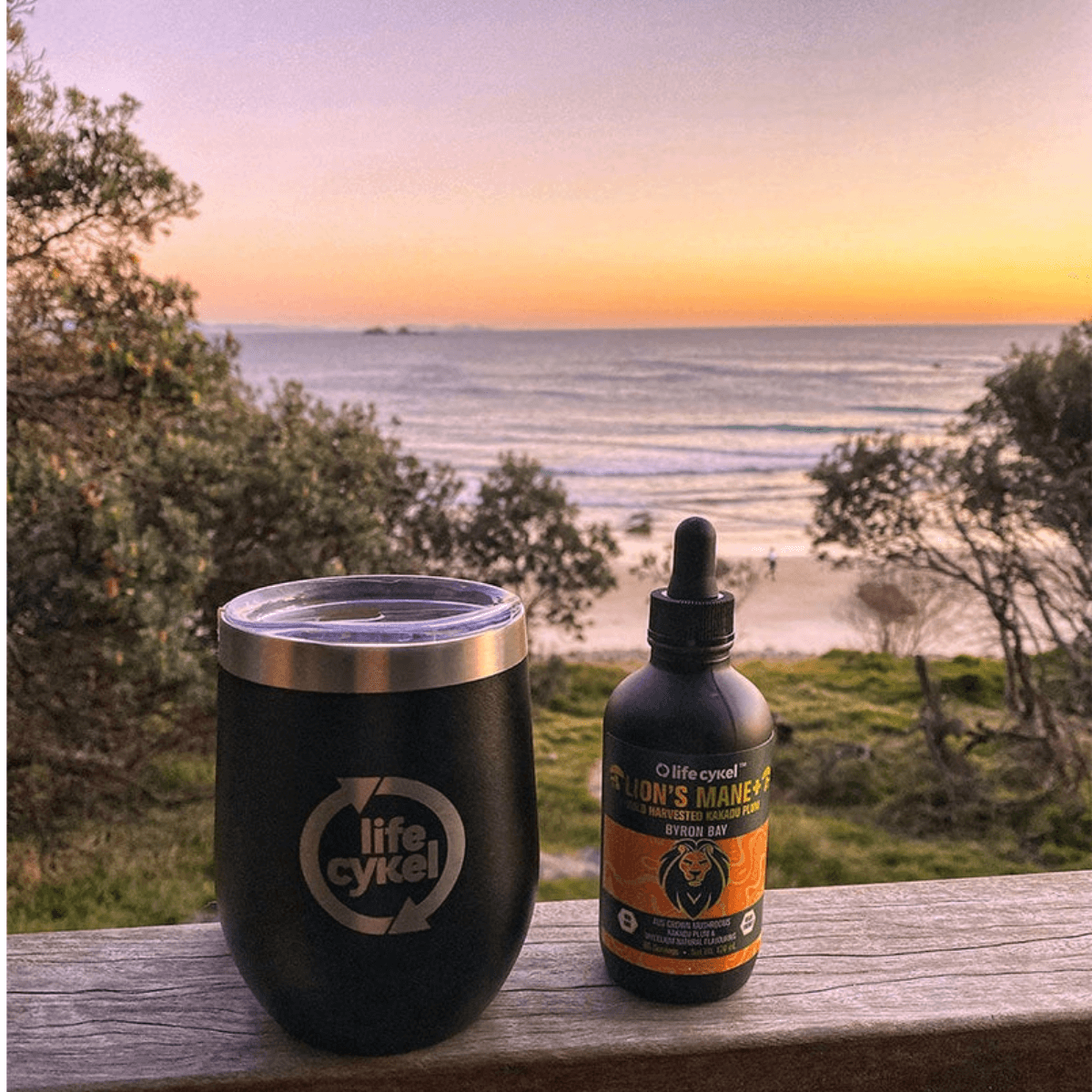 Life Cykel - Lion's Mane Mushroom Liquid Extract - 60ml