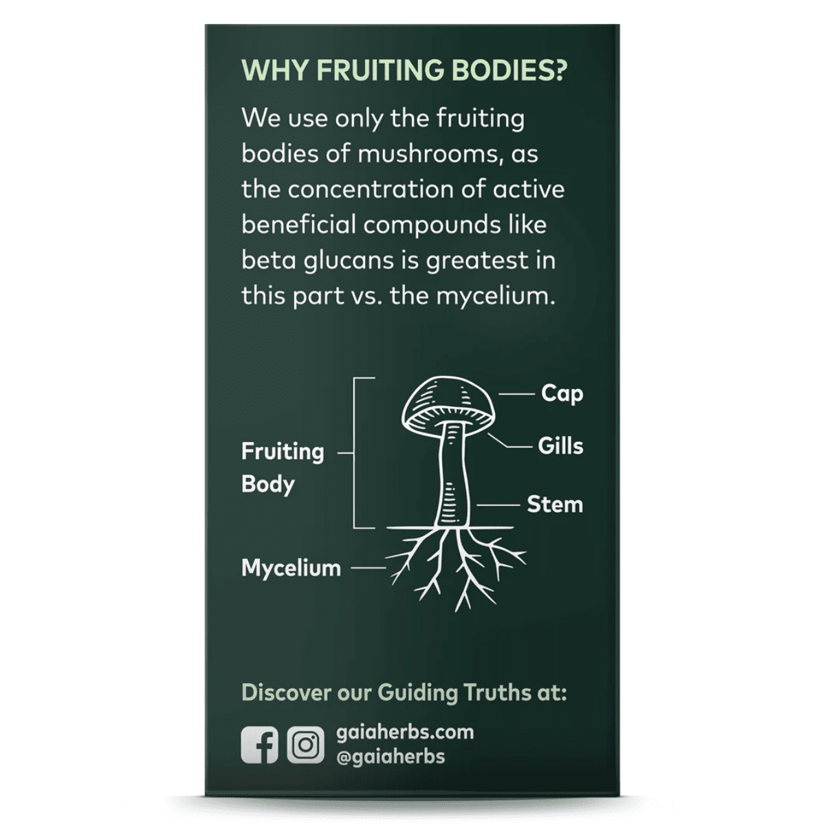 Gaia Herbs - Lion's Mane Mushroom 40vc