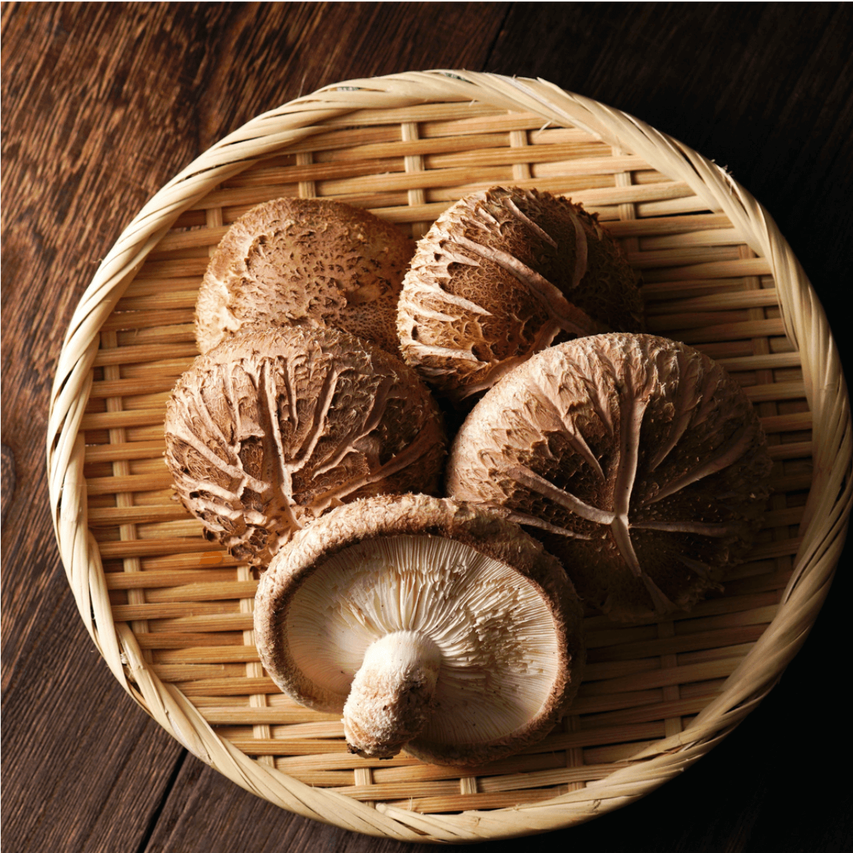 Life Cykel - Shiitake Mushroom Liquid Extract - 60ml